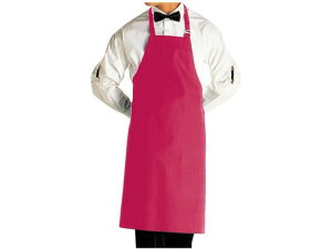 y񂹁zZujtH[ Gv CT2503-2 C 3703800