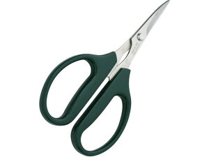 y񂹁zk Xe Ej؂͂() 2916500 Lb` G e[u