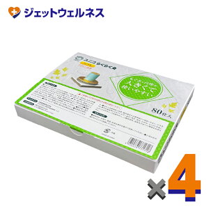 jR 炭炭 \tg 80s ×4k˂񋄁l