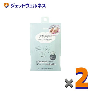 �y���ϕi�z�G���� �C����ی�N���[�� 2gx12��� ×2��