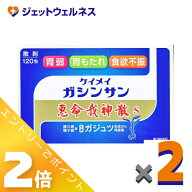 ≪9月も1ヶ月間全商品P2倍！≫【第2類医薬品】恵命我神散S 3g 120包入 ×2個