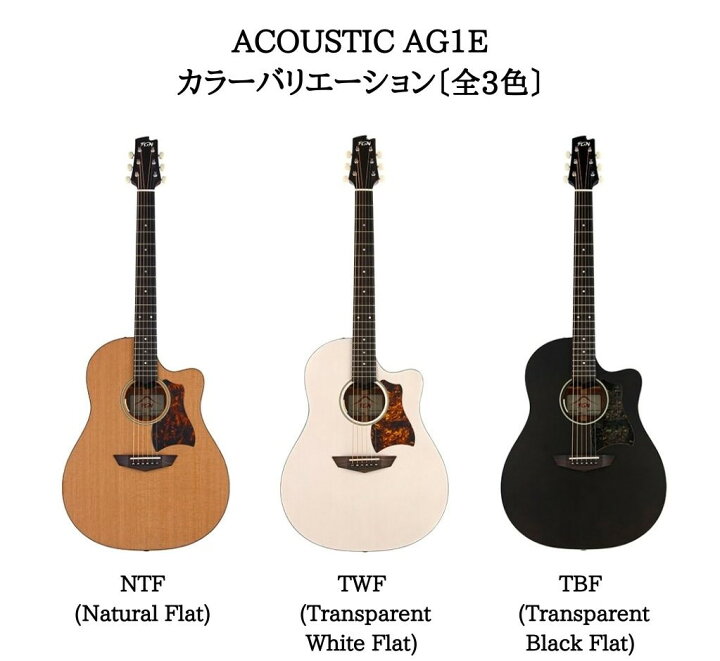 楽天市場】FGN ACOUSTIC AG1E TWF Transparent White FlatFUJIGEN 