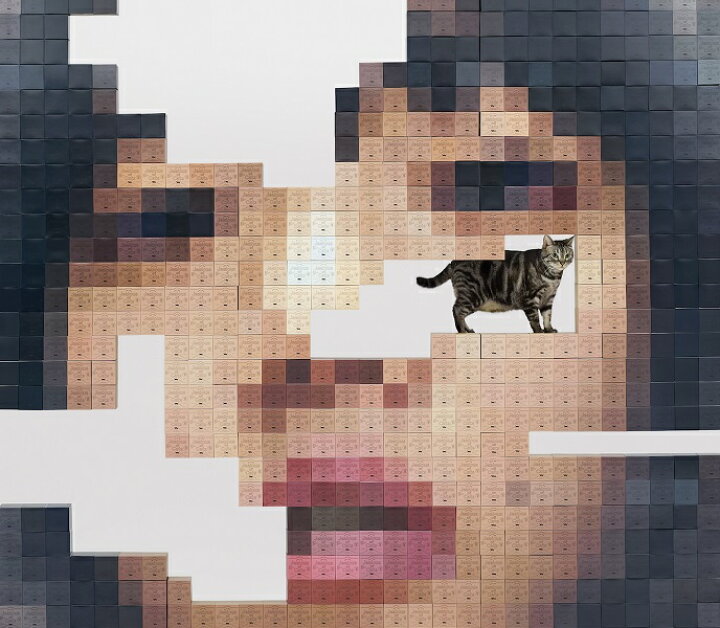 楽天市場】あいみょん 5th ALBUM『猫にジェラシー』【初回限定Blu-ray 