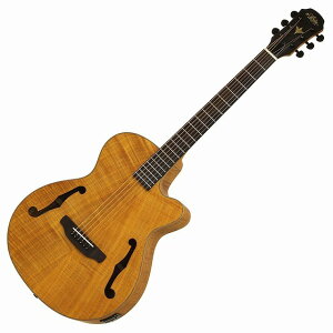 ARIA FET-F2 STBR Stained BrownAA p AR[XeBbNM^[ GAR ARM fz[^Cv uE