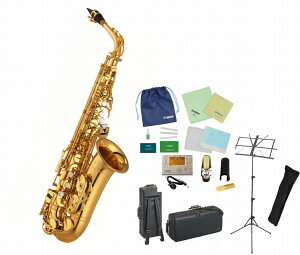 YAMAHA YAS-875EX SET YAS875EX }n AgTbNX TbNX TN\tHyS҃ZbgzyANZT[Zbgz