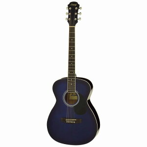 Legend FG-15 BLS Blue Shade yP[XtzWFh AR[XeBbNM^[ ARM tH[NM^[ u[ VF[h