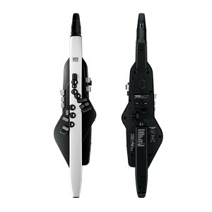 yVizRoland / Aerophone AE-20[h@GAtH@Vi