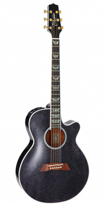 楽天市場】Takamine DMP181AC SBL タカミネ エレアコ【Stage-Rakuten  