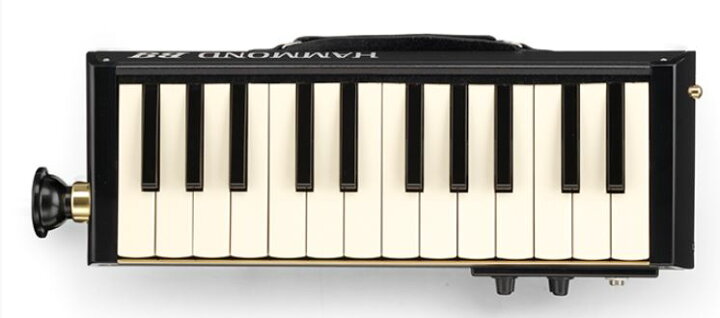 楽天市場】SUZUKIHAMMOND BB B-24H＜スズキ メロディオン＞ : 京都  