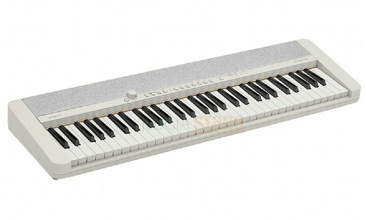 楽天市場】CASIO Casiotone CT-S1 WE ホワイト セット【スタンド(白 