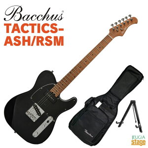 Bacchus TACTICS-ASH/RSM STNobJX GLM^[ O[oV[Y eLX^[ V[X[iCg ubN