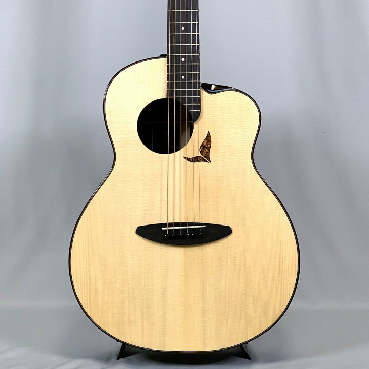 楽天市場】aNueNue aNN-LS700 LS-Acoustic Future Series Guitars 