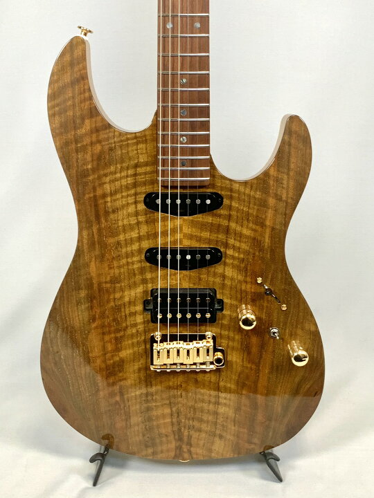 楽天市場】FGN EOS2-DU-EW2-RM/VNT (Vintage Natural) Expert 