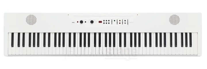 楽天市場】KORG Liano LIVE!《 L1 LIVE 》【スタンド(白)・ヘッドホン 