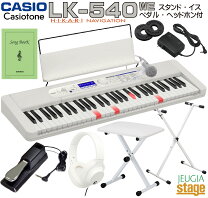 楽天市場】casio キーボード マイク付きの通販