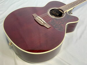 Takamine DMP551C WR with Contact P.U^J~l  GAR CbhyR^NgsbNAbvtzyStage-Rakuten Guitar SETzGNgbNAR[XeBbNM^[ 