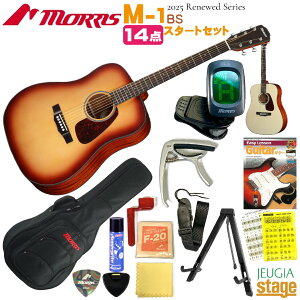 フォークギター 初心者 モーリス」の人気商品一覧 | 安い商品を通販 