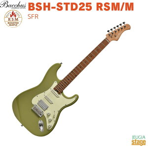 Bacchus BSH-STD25 RSM/M SFRobJX GLM^[ [XebhCv XggLX^[ Tt@yStage-Rakuten GuitarzRC^bv An  O[ green