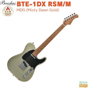 Bacchus BTE-1DX RSM/M MDG (Misty Dawn Gold)obJX GLM^[ [XebhCv eLX^[ ~XeBh[S[hyStage-Rakuten Guitarz Gg[f SҌ Universe Series