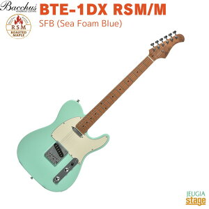 Bacchus BTE-1DX RSM/M SFB (Sea Foam Blue)obJX GLM^[ [XebhCv eLX^[ V[tH[u[yStage-Rakuten Guitarz F Gg[f SҌ Universe Series