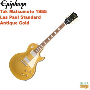 Epiphone Tak Matsumoto 1955 Les Paul Standard Antique GoldGstH 1955X|[ AeB[NS[hyStage-Rakuten GuitarzECTM55AGNH3 GLM^[  A[eBXgf B'z {FO