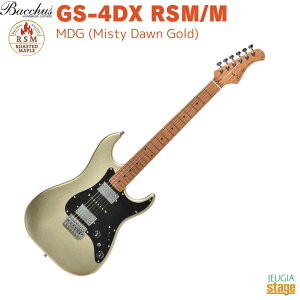 Bacchus GS-4DX RSM/M MDG(Misty Dawn Gold)obJX GLM^[ [XebhCv XggLX^[ ~XeBh[S[hyStage-Rakuten GuitarzRC^bv 