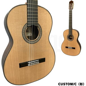 ASTURIAS CUSTOM/S(hCc)^CUSTOM/CijyMade in JapanzAXgAX JX^ NVbNM^[ Xv[X V_[yRegular Model/M[fzyStage-Rakuten GuitarziC KbgM^[