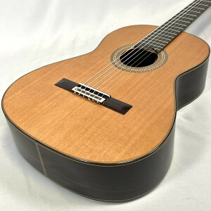 Esteve ALEGRIA CdryMade in SPAINzClassical GuitarsGXe NVbNM^[ AOAyXyCzyStage-Rakuten Guitarz KbgM^[ 650mmXP[ P
