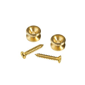 Planet Waves Brass End PinPWEP102�iBlack�j�� �u���b�NPWEP202�iChrome�j �� �V���o�[PWEP302�iBrass�j �� �S�[���h�v���l�b�g�E�F�C���X �v���l�b�g�E�F�[�u�X �G���h�s�� D'Addario �_�_���I�yStage-Rakuten Guitar A