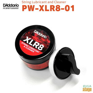 Planet Waves String Lubricant and Cleaner PW-XLR8-01プラネットウェイヴス プラネットウェーブス 潤滑剤&クリーナー D'Addario ダダリオ【Stage-Rakuten Guitar Accessory】