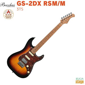 Bacchus GS-2DX RSM/M 3TS (3 Tone Sunburst)obJX GLM^[ [XebhCv XggLX^[ 3g[To[XgyStage-Rakuten Guitarz RC^bv An