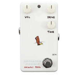 Animals Pedal Surfing Bear Overdrive