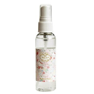 NONAKA Wind instrument antibacterial deodorant cleaner ǊyRۏLN[i[ ypN[i[@}EXs[XN[i[n[LeB Hello KittyyAPEX-Rakuten accessoriesz