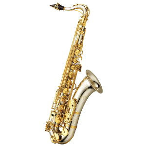 YANAGISAWA T-WO37Silver Sonic�@�e�i�[�T�N�\�t�H���@�N���A���b�J�[�d��