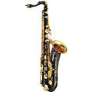 YAMAHAi}nj TenorSaxophone YTS-82ZBYAMAHA ei[TbNX