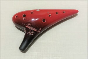 OSAWA IIT IJiAg C AC VOi AC-Si