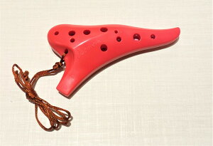 OSAWA IIT vX`bNIJi\vm C PI-SC 