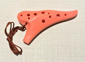 OSAWA IIT vX`bNIJi\vm C PI-SC 