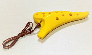 OSAWA IIT vX`bNIJi\vm C PI-SC 