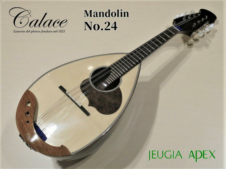 楽天市場】Calace No.24カラーチェ マンドリン【APEX-Rakuten Stringed 