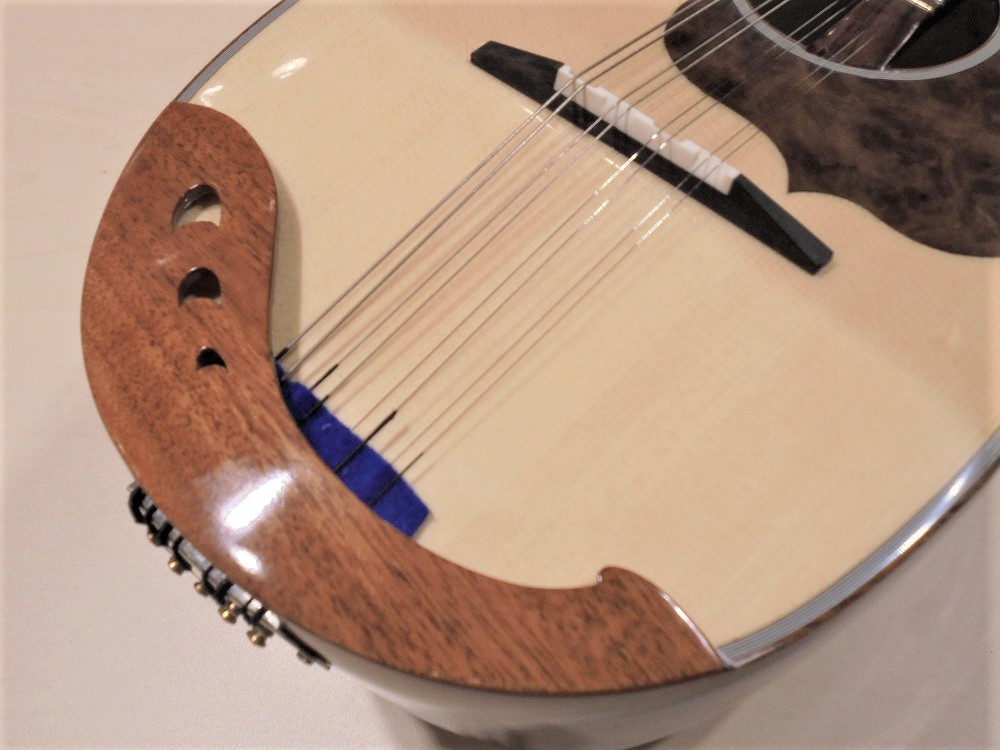 Calace No.24カラーチェ マンドリン【APEX-Rakuten Stringed instrument】 | 京都 JEUGIA（ジュージヤ  楽器）