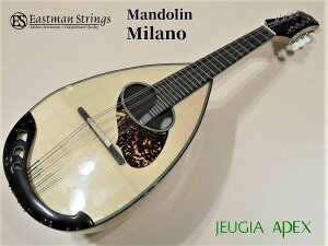 EASTMAN model-Milano�C�[�X�g�}�� �}���h�����yAPEX-Rakuten Stringed instrument�z