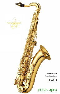 YANAGISAWA TWO1 Tenor Saxophone eiMT ei[TbNXyAPEX-Rakuten Wind instrumentz