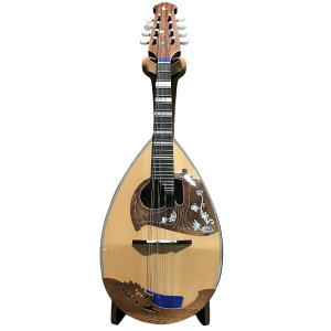 Calace No.15�J���[�`�F �}���h�����yAPEX-Rakuten Stringed instrument�z