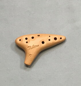 Tiamo eBA[ IJi\vm C XL T-NSCNT