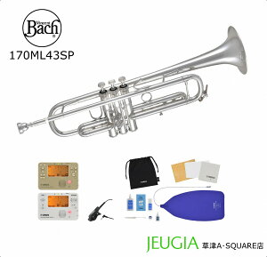 �y�����Z�b�g�t���I�zBACH 170ML43SP �o�b�N �g�����y�b�g BbVincent Bach Apollo �⃁�b�L �g���f�B�V���i���E�`���[�j���O�X���C�h��