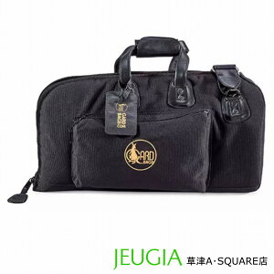 y񂹑ΉzGARD BAGS 2-MSK K[hobOX t[QzP[X VO