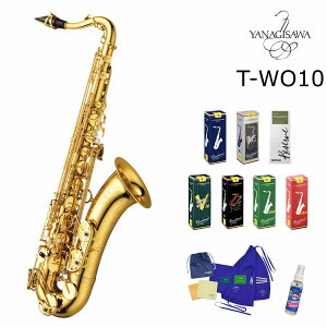 y[hIׂʃZbgzYANAGISAWA T-WO10iMT ei[TbNXwB[^Cv uX