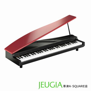 ywbhtHv[gIzKORG microPIANO RO }CNsAm bh  ubN  dqsAm 61 RpNgsAm ~j