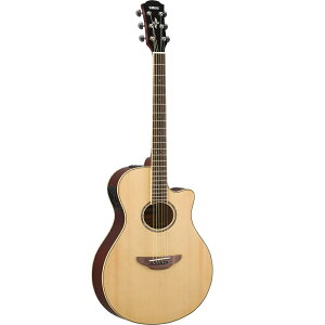 YAMAHA APX600�A�R�[�X�e�B�b�N�M�^�[